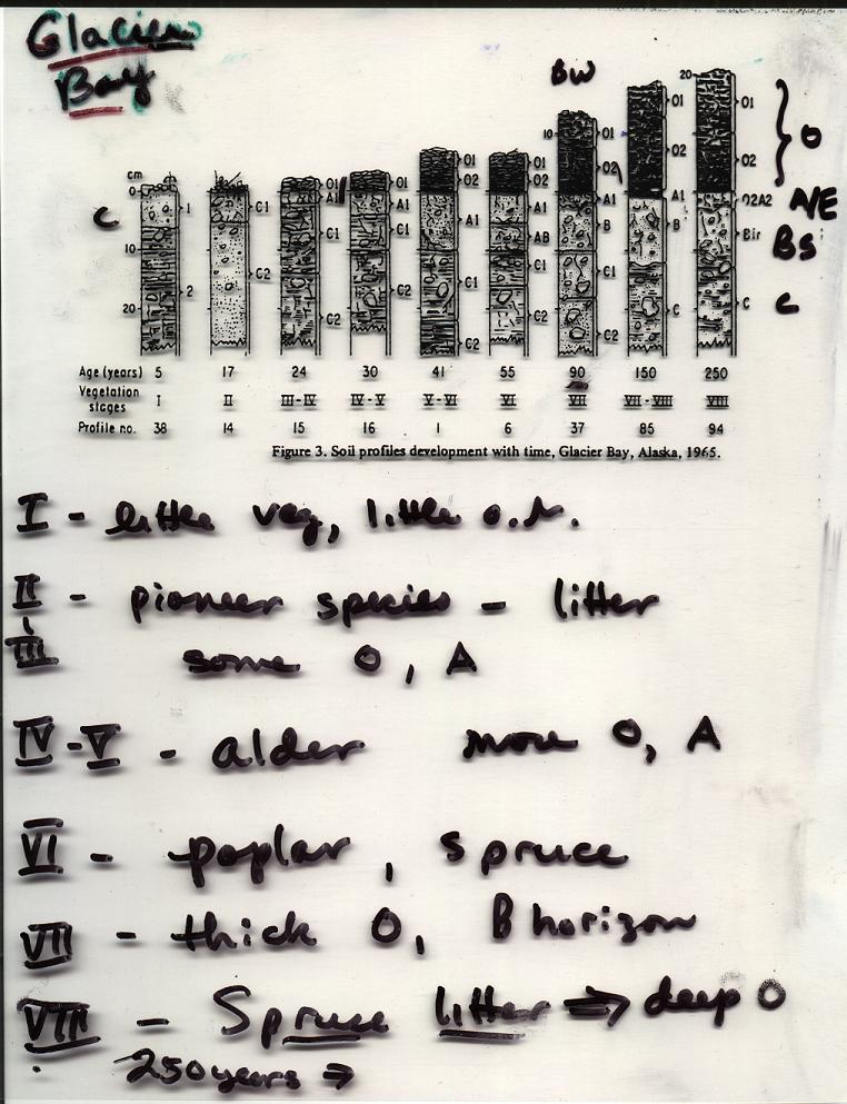 Chronosequence