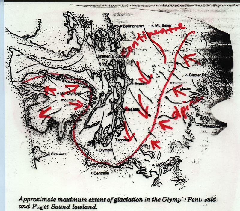 Puget Sound Glaciation