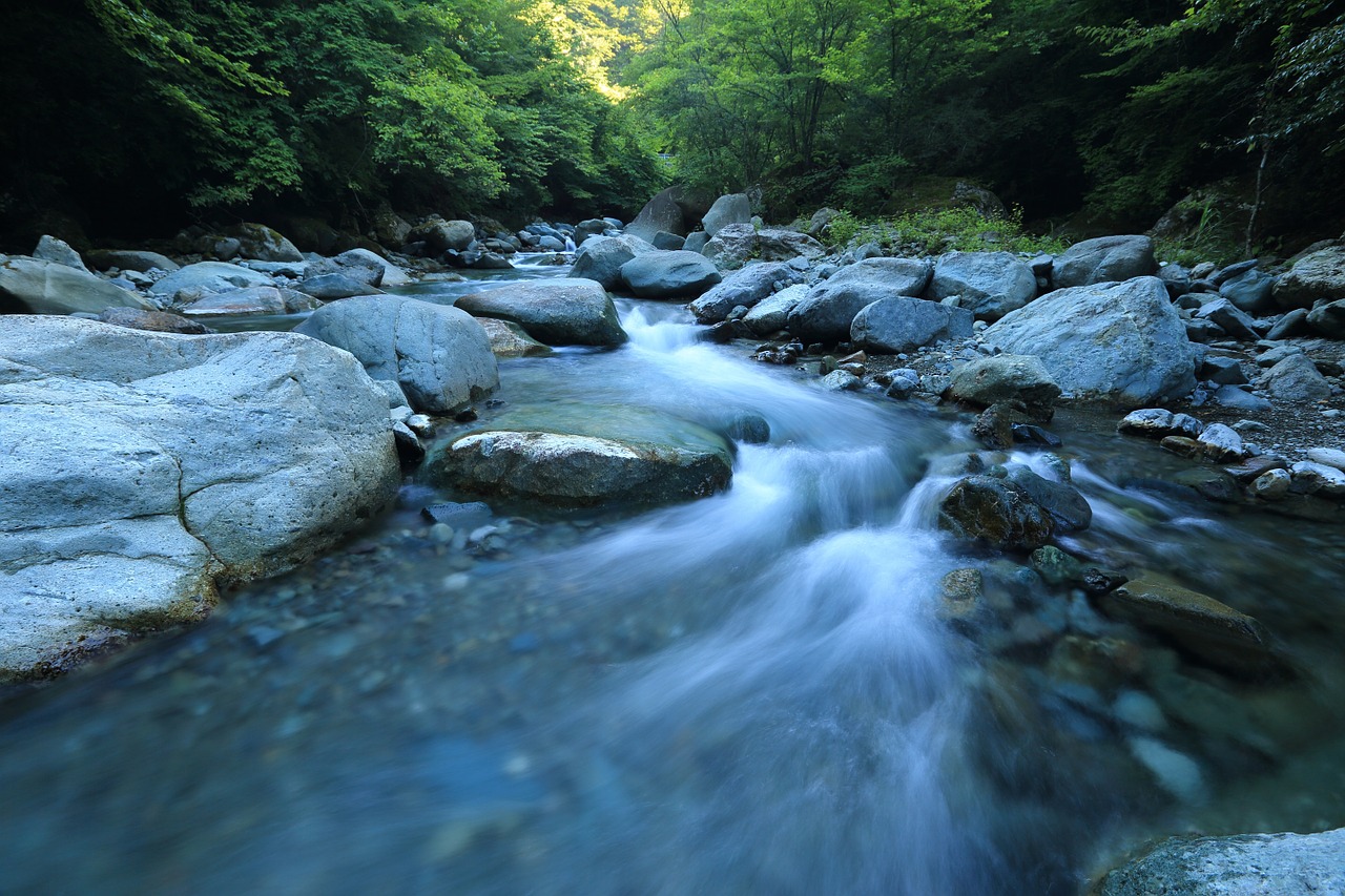 A photograph of a river