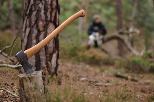 A photograph of an axe wedged into a stump, and a person in the background
