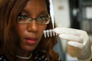 A photograph of a scientist pipetting DNA samples into a tube to copy DNA.