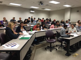 A photograph of my INFO 360 class, showing students working together.