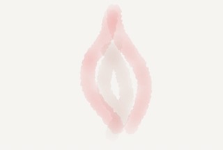 An illustration of a flame, or perhaps a vulva.