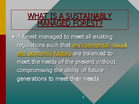 WHAT IS A SUSTAINABLY MANAGED FOREST?