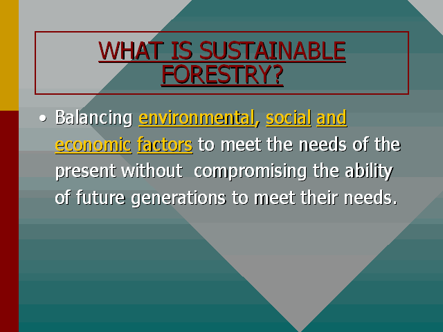 WHAT IS SUSTAINABLE FORESTRY   Img004 