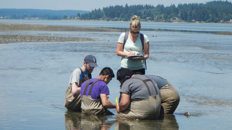 Students sampling Mud Bay.