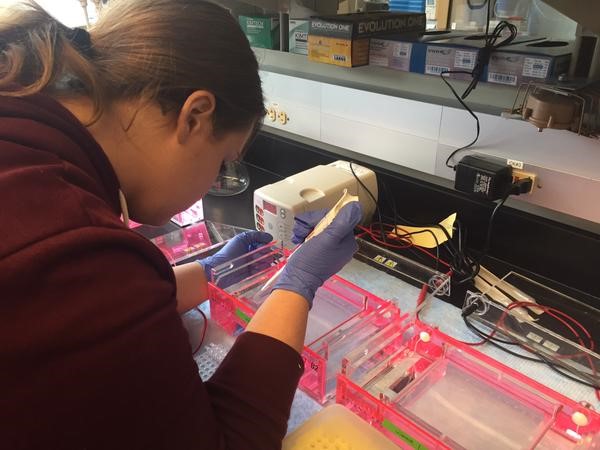 The Lab Side: Developing qPCR Assays