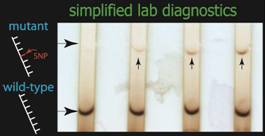 THUMBNAILS - simplified lab diagnostics.jpg