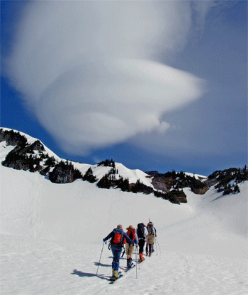 paradise mt rainier