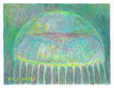 Mills Aequorea drawing 2007