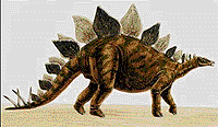 stegosaurus