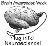 Brain Awareness Week 2024  Teaching Event Information