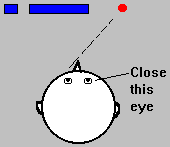 Blind spot demonstration. Close your right eye while fixating at the