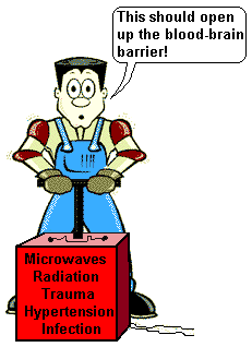 Neuroscience For Kids Blood Brain Barrier