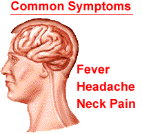 meningitis brain infection