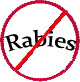 no rabies