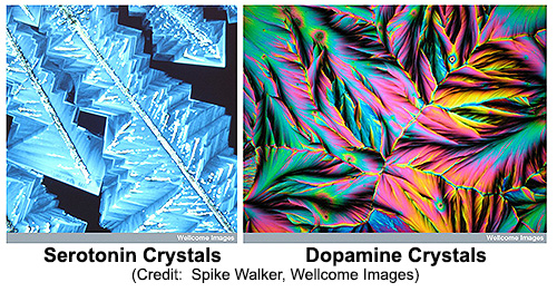 dopamine and serotonin crystals