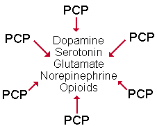 angel dust drug effects