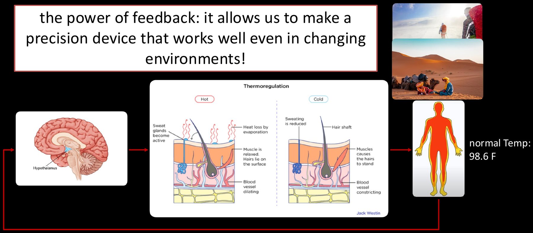 The power of feedback: it allows us to make a precision device that works well even in changing environments.