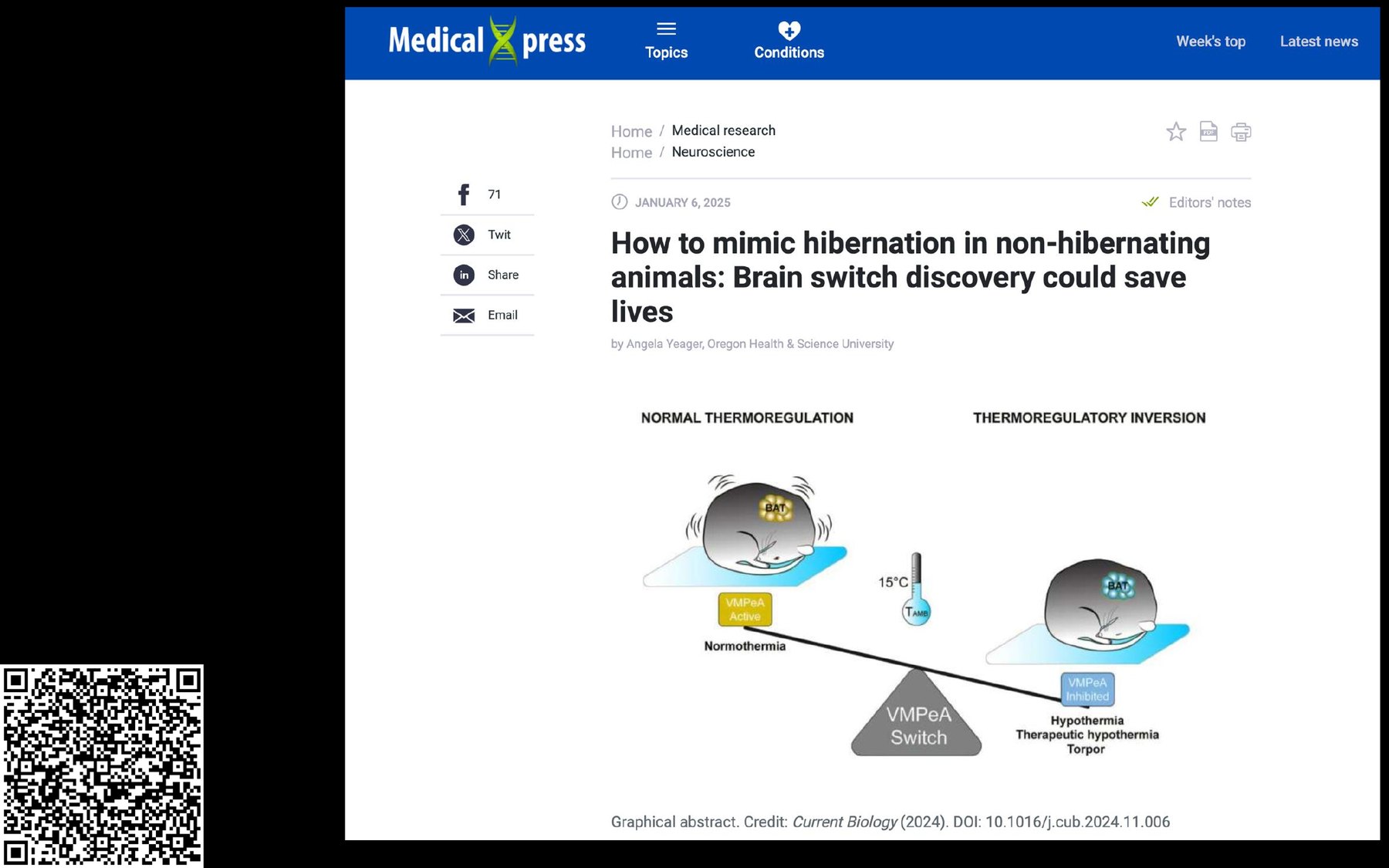 A brain &ldquo;switch&rdquo; for controlled hypothermia (Medical Xpress; graphical abstract from Current Biology, 2024).