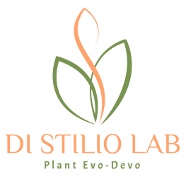 Plant Evo-Devo