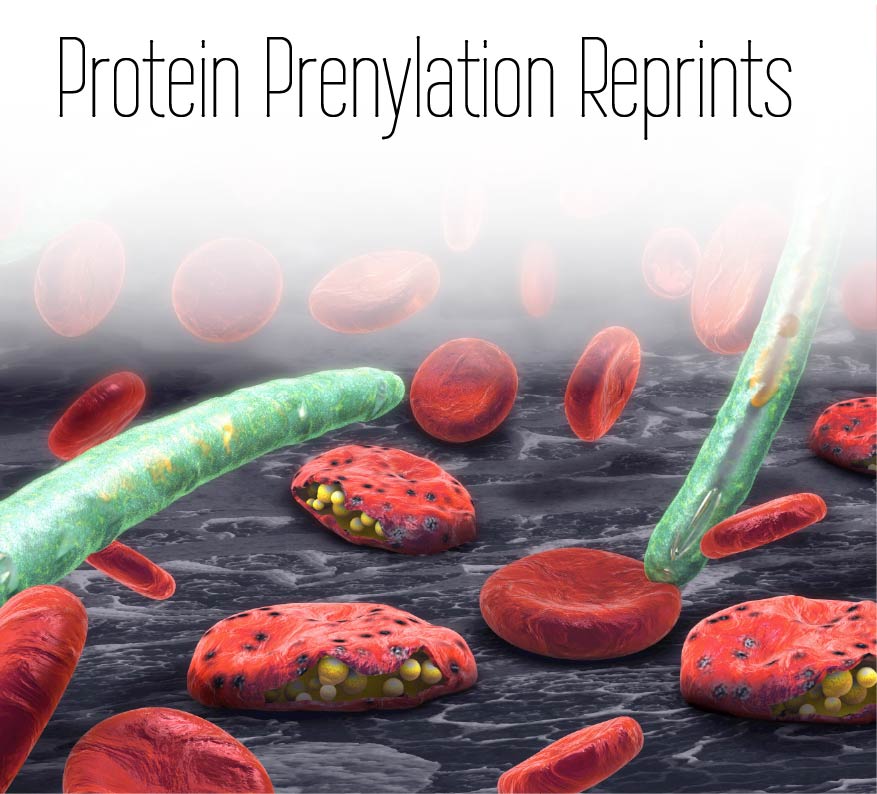 Protein Prenylation Reprints