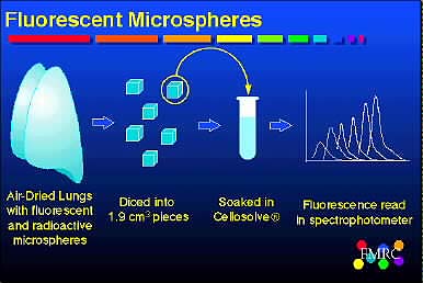 Fluorescent Microsphere Methods 1
