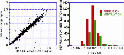 Aerosolized microspheres results