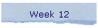 Week 12