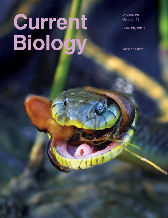Cover of the journal Current Biology, with a photo of a garter snake holding a rough-skinned newt in its mouth.