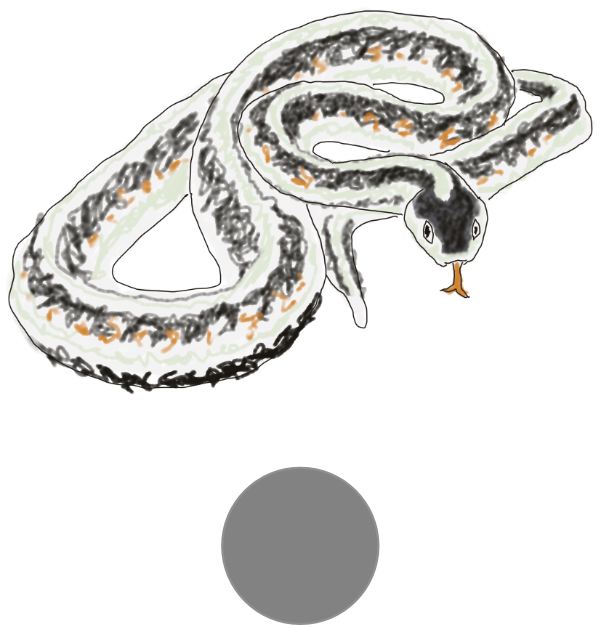 Cartoon illustration of a garter snake above a gray dot.