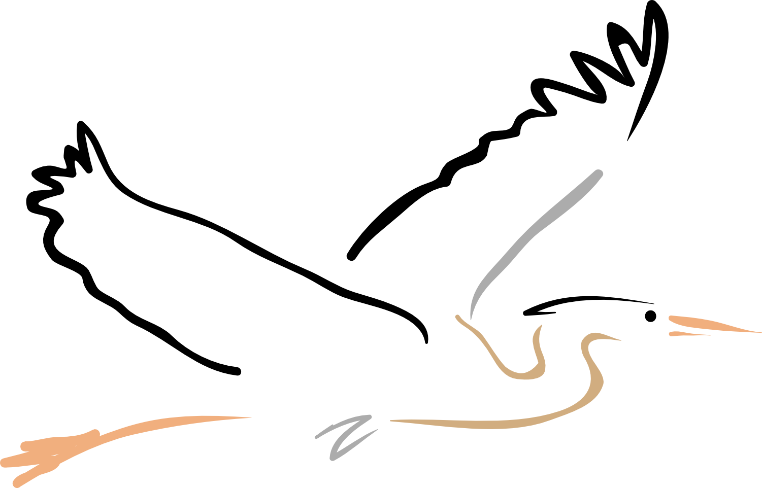 Drawing of a flying great blue heron