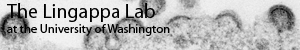 Lingappa Lab logo