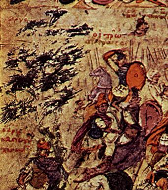 Tree in the Ilias Ambrosiana