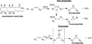 Free Radical Oxidation | Xu Lab