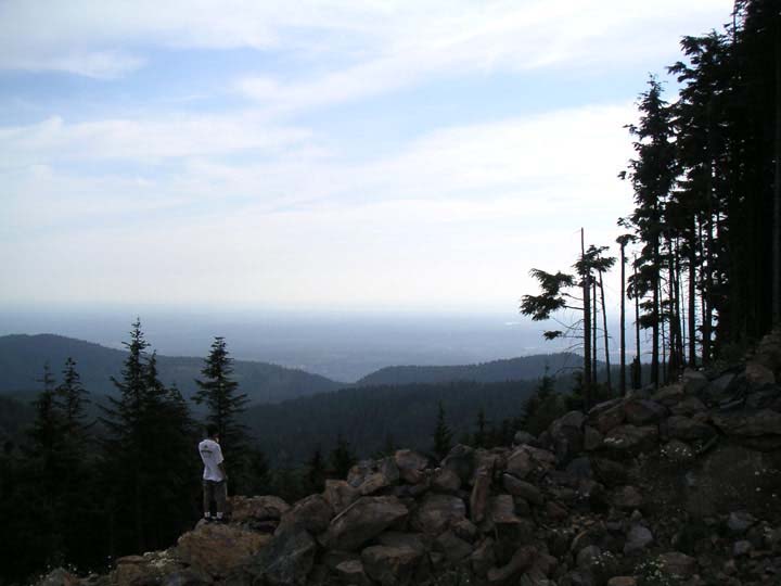 tiger_mt_lookout