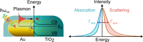 Chemical Interface Damping Revealed by Single-Particle Absorption Spectroscopy