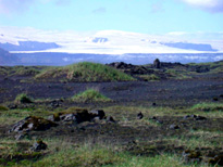 Landscape with foilage in foreground.