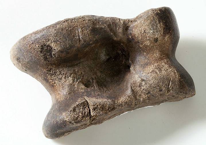 Knucklebone - a form of medieval dice