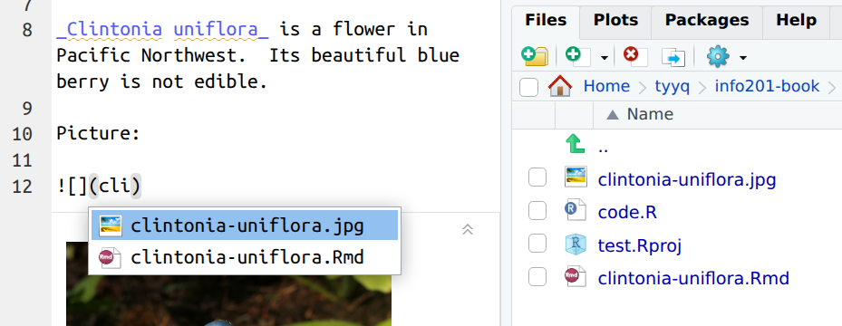 RStudio filename tab completion