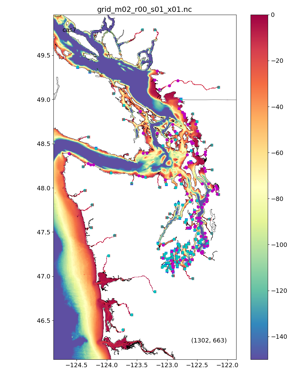 Close up of Puget Sound cas7 grid and rivers