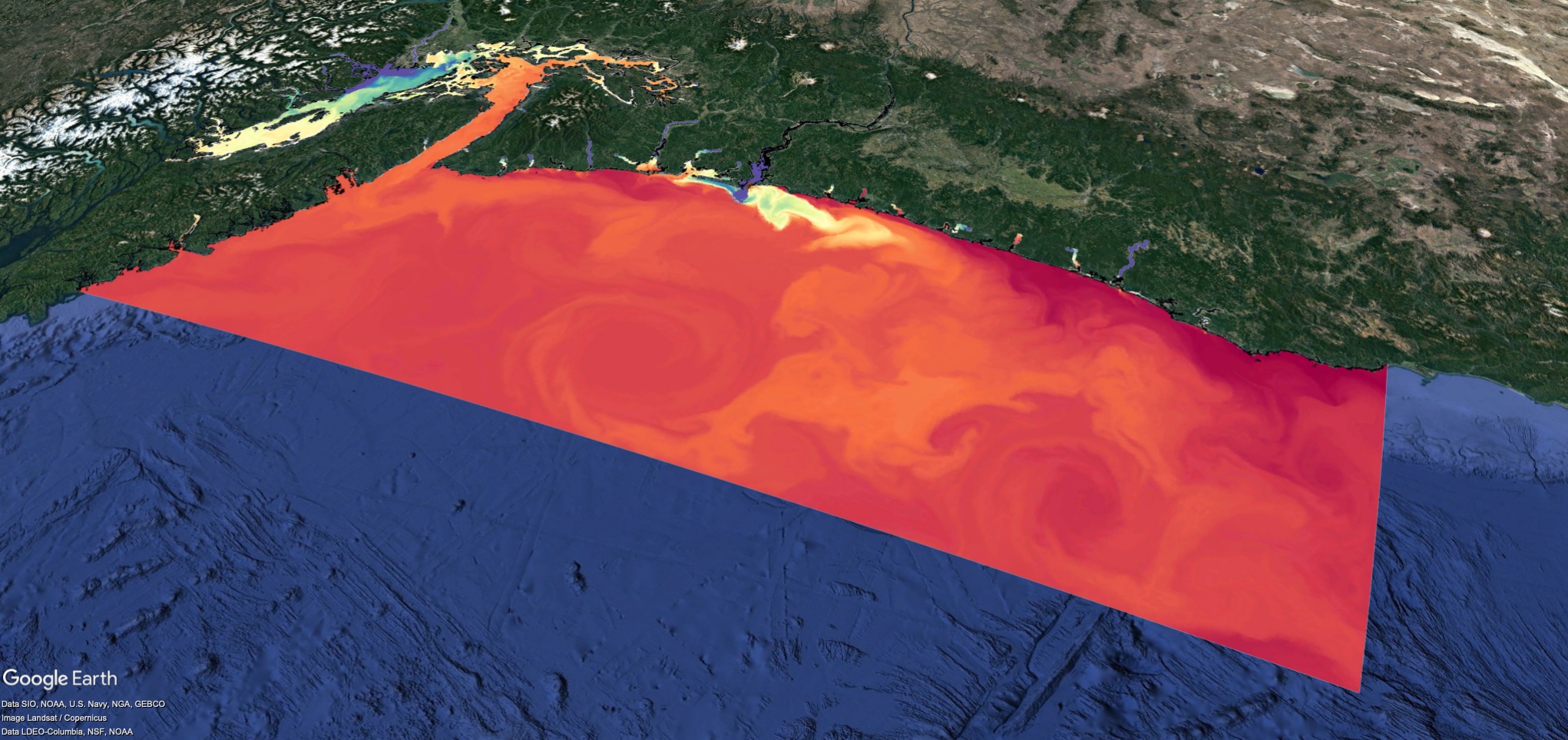 LiveOcean Salinity Snapshot