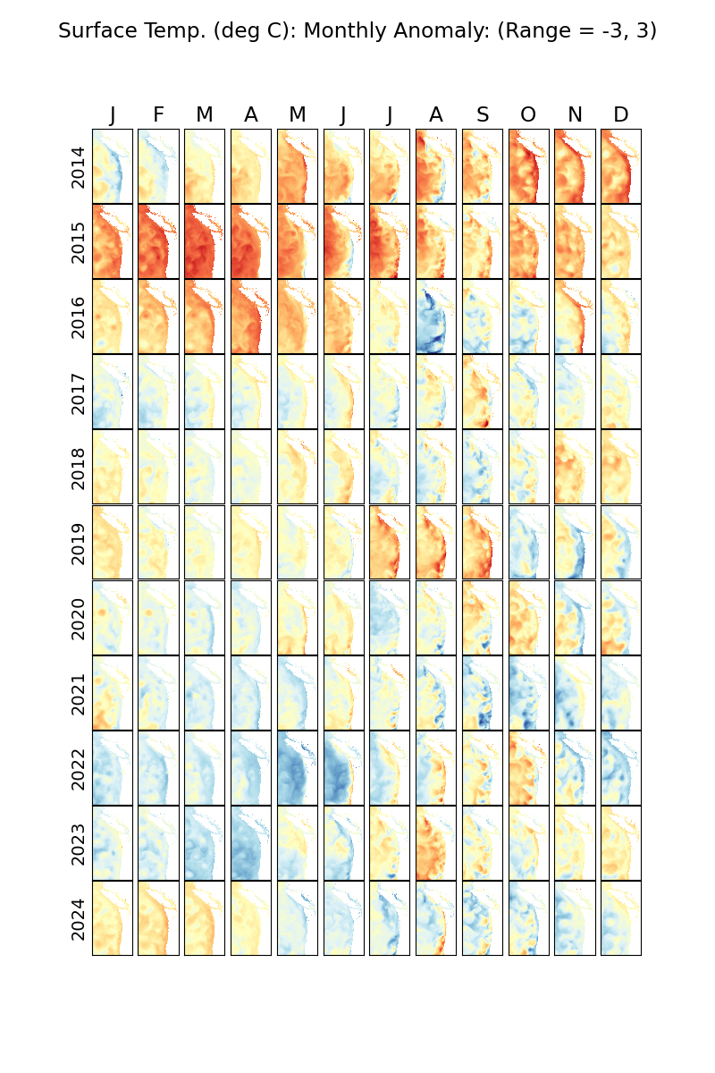 Monthly Surface Temperature Anomalies over 11 Years