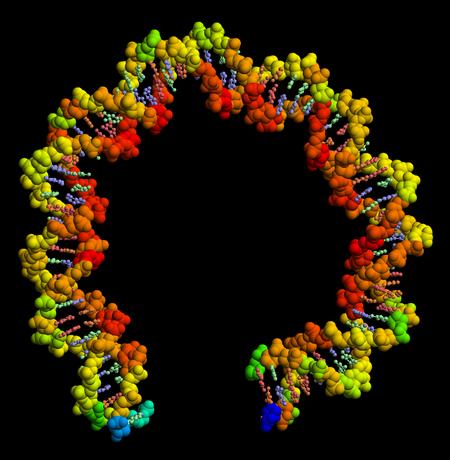 Overview Picture of DNA