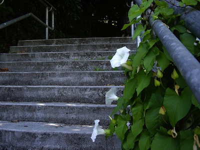 photo of stair