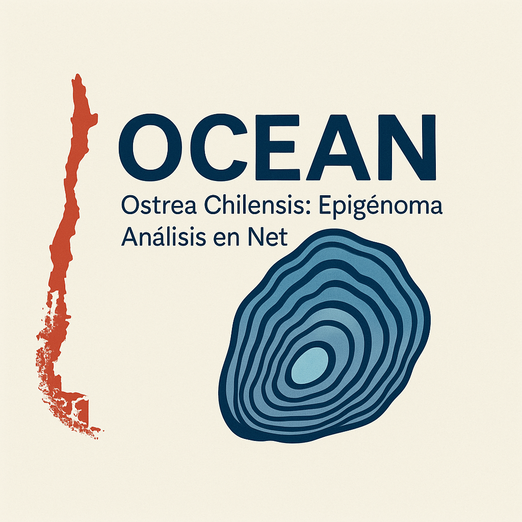 OCEAN