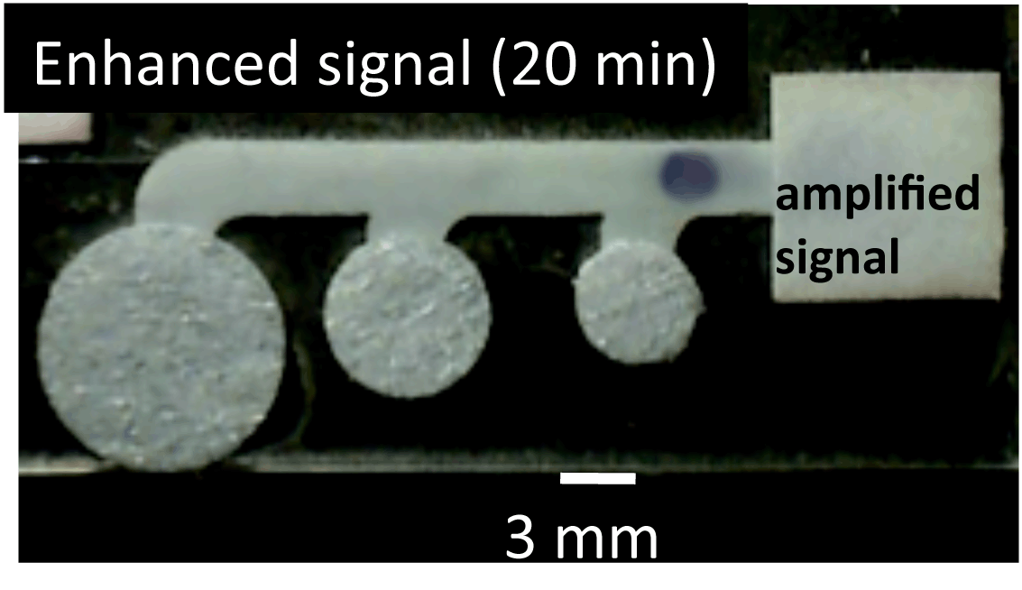 amplified 2DPN signal