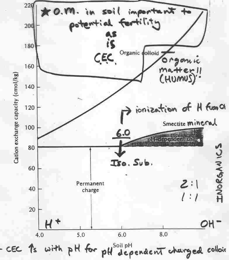 Charges and pH