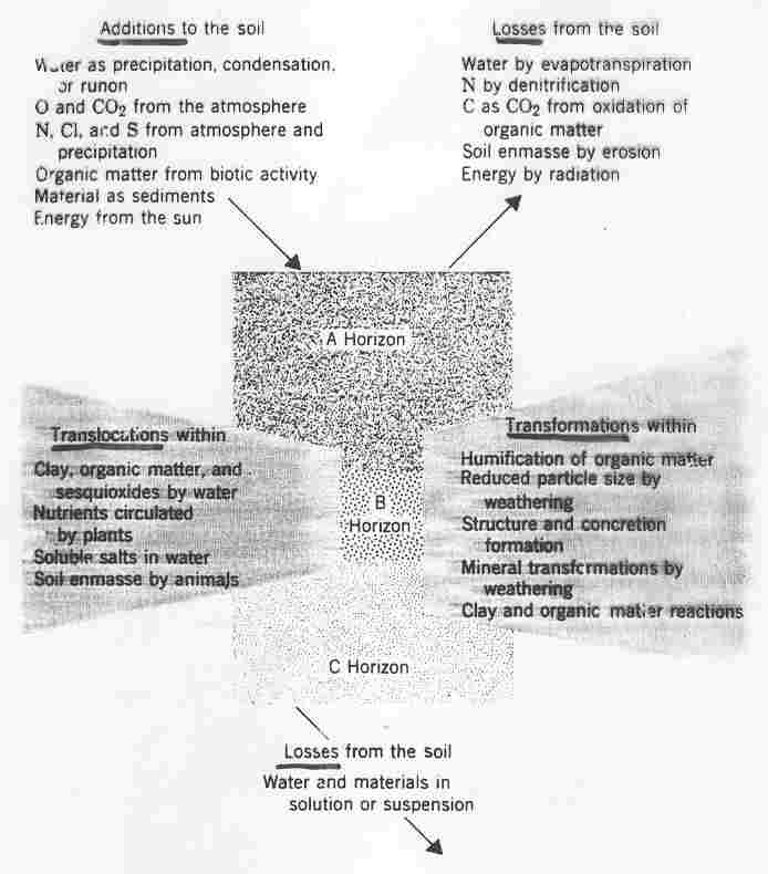 Soil Pedogenesis