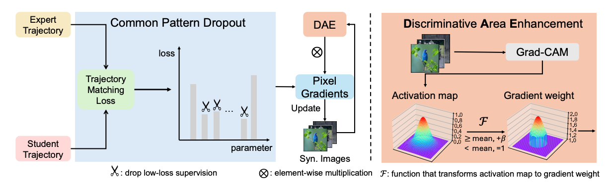 Dataset Distillation via DF